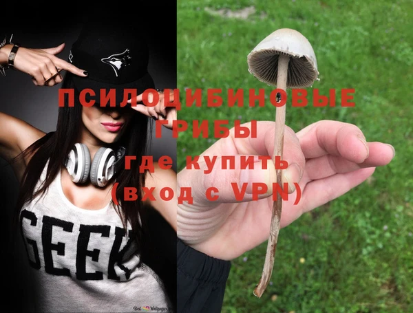 mdpv Лихославль
